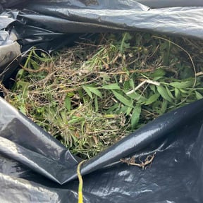 Weeding by Texas Lawn's reviewed on April 25, 2022