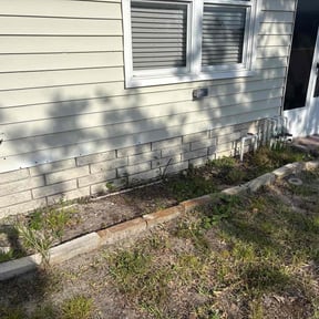 Bush Trimming by PerfectCutLawn reviewed on October 28, 2022