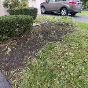 Flower Bed Weeding by On The Green reviewed on June 28, 2022