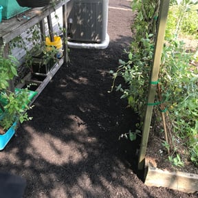 Cleanups by Father Daughter and Sons Lawn Care reviewed on September 14, 2021