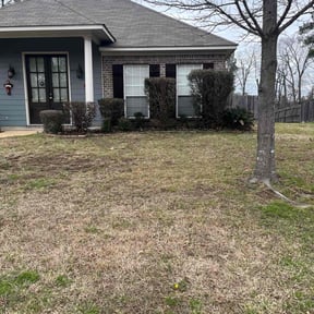 Bush Trimming by Brother's Irrigation and Landscaping reviewed on June 6, 2022