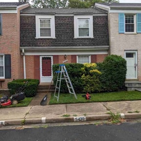 Bush Trimming by Tony's lawn services/Plowing reviewed on July 24, 2022