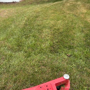 Cleanups by Spartan Landscaping reviewed on May 31, 2022