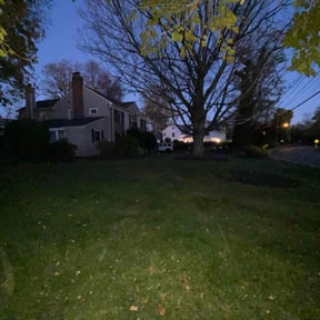 Leaf Removal by C&J Lawn Care reviewed on September 21, 2021
