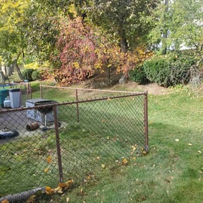 Leaf Removal by XL lawn mowing reviewed on May 23, 2022