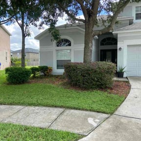 Bush Trimming by Bigdogs Property Maintenance reviewed on August 15, 2025