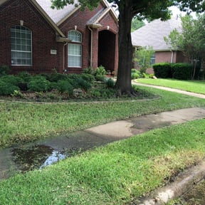 Cleanups by Gabriel Landscape reviewed on November 15, 2024