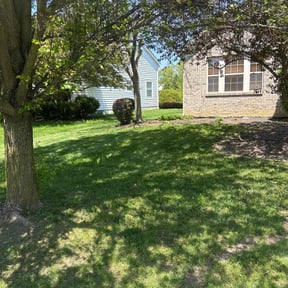 Bush Trimming by JohnRobert Lawn&Garden reviewed on April 22, 2022