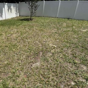 Cleanups by Daniel's lawn care service LLC reviewed on July 21, 2022