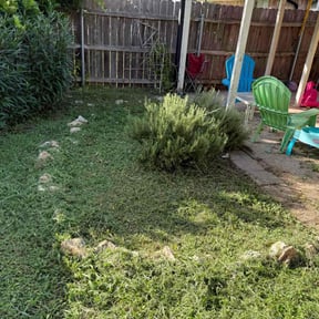 Flower Bed Weeding by Lonestar Lawn Care reviewed on September 27, 2021