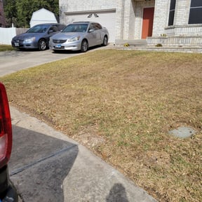 Leaf Removal by Swartz Lawn & Property Maintenance reviewed on June 21, 2022