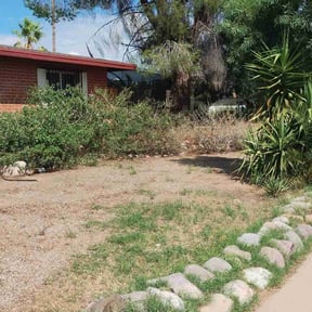 Bush Trimming by LSLTDallas/FortWorthTruGreen reviewed on September 20, 2023