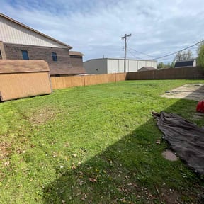 Cleanups by Swamp creek reviewed on August 5, 2025