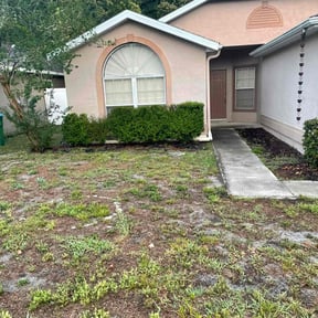 Bush Trimming by Mightyfine professional  services reviewed on March 15, 2025