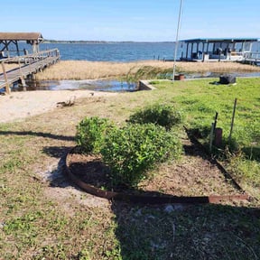 Bush Trimming by Kd landscaping reviewed on May 20, 2022