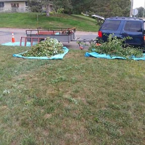 Bush Trimming by Carrate Landscaping LLC reviewed on July 6, 2022