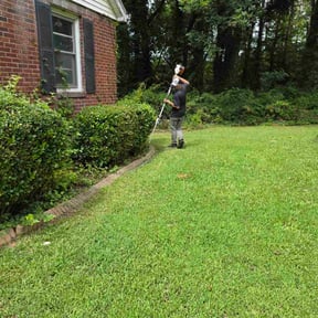 Bush Trimming by Smith's Services reviewed on November 8, 2022