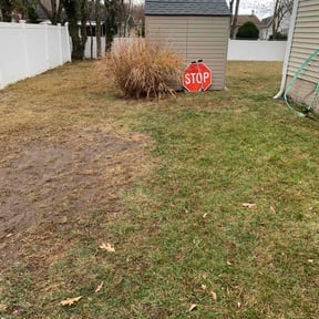 Leaf Removal by Carrate Landscaping LLC reviewed on July 6, 2022