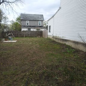 Leaf Removal by Propert Doctors reviewed on April 26, 2022