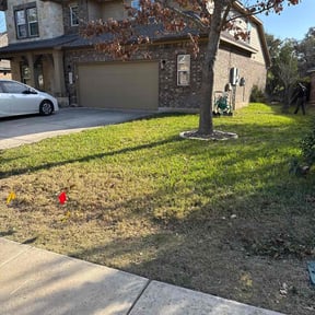 Leaf Removal by Tried & True Landscape reviewed on September 19, 2020