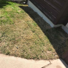 Leaf Removal by EV Great Valley Landscaping,LLC. reviewed on August 5, 2022