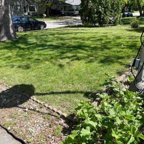 Leaf Removal by George’s lawn services reviewed on October 19, 2024