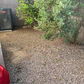 Leaf Removal by Texas Best Lawn and Farm reviewed on April 8, 2022
