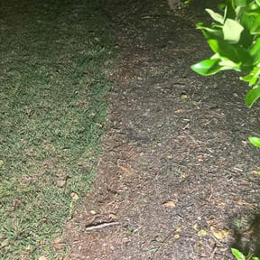 Weeding by JS lawn care and home services reviewed on May 16, 2022
