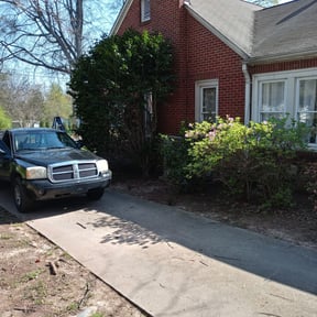 Bush Trimming by Cornerstone landscape & design reviewed on June 18, 2022