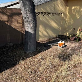 Leaf Removal by Top Notch Lawn Care &amp; Landscaping reviewed on November 22, 2023