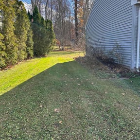 Leaf Removal by IMPAKT Lawn Solutions reviewed on March 30, 2022