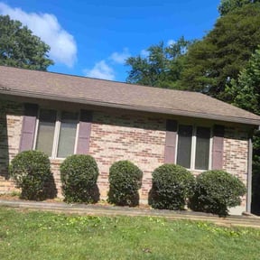 Bush Trimming by LG Lawn Services reviewed on June 21, 2022