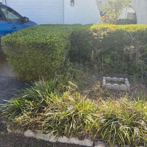 Bush Trimming by DeShawn's Lawn Care reviewed on June 6, 2022