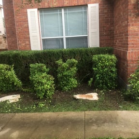 Bush Trimming by Nicuts landscape reviewed on April 22, 2025