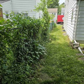 Bush Trimming by Stephen Reynolds reviewed on June 1, 2022