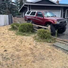 Bush Trimming by Home and Lawn Care Professionals reviewed on August 8, 2020