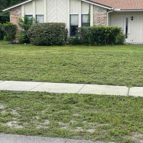 Bush Trimming by A.N.E. Landscaping LLC reviewed on August 3, 2025