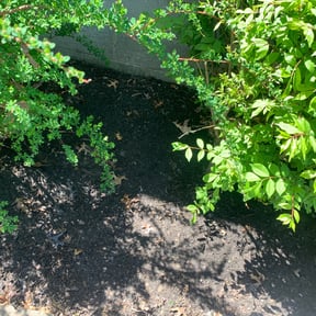 Cleanups by A&W Quality Lawn Care reviewed on April 15, 2022