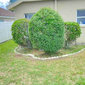 Bush Trimming by McKenzie Lawn Care and Landscaping reviewed on July 20, 2022