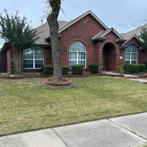 Bush Trimming by Castrolawns reviewed on July 8, 2022