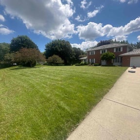 Cleanups by Storey lawn service's reviewed on July 14, 2022