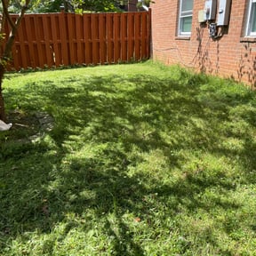 Cleanups by Krenik lawn services reviewed on October 24, 2024