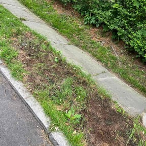Cleanups by Sun's Lawn Care LLC. reviewed on January 4, 2022