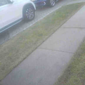Leaf Removal by AA Joes Landscaping reviewed on June 2, 2022