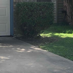 Bush Trimming by Straight edge mowing reviewed on March 23, 2025