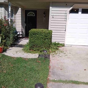 Bush Trimming by Unknown reviewed on August 3, 2024