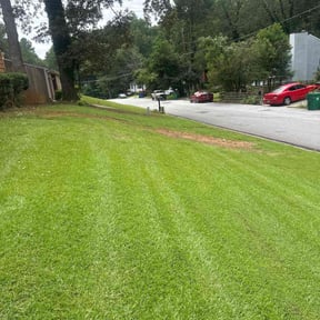 Bush Trimming by Court Landscaping reviewed on March 12, 2025