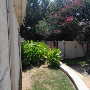 Bush Trimming by Colorway Exotics reviewed on May 2, 2025