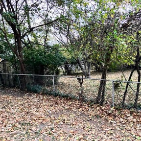 Cleanups by In The Cut Lawncare reviewed on August 5, 2022