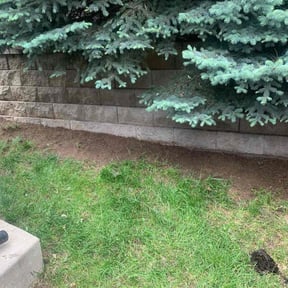 Cleanups by Red Rose Lawn Care reviewed on July 21, 2022